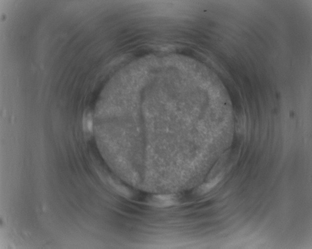 X0000067400095200604281919