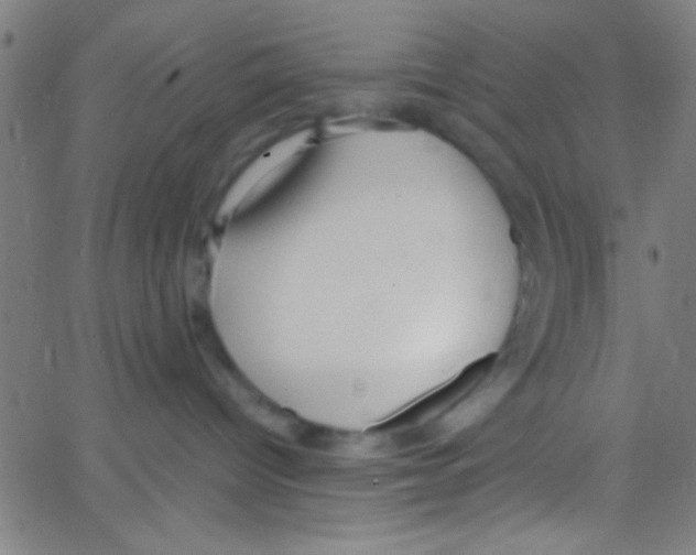 X0000067400096200604281919