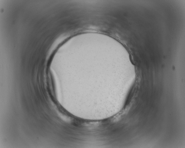 X0000067400102200604281918