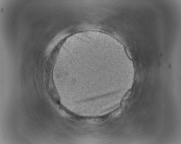 X0000067400103200604281918