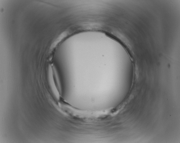 X0000067400105200604281918