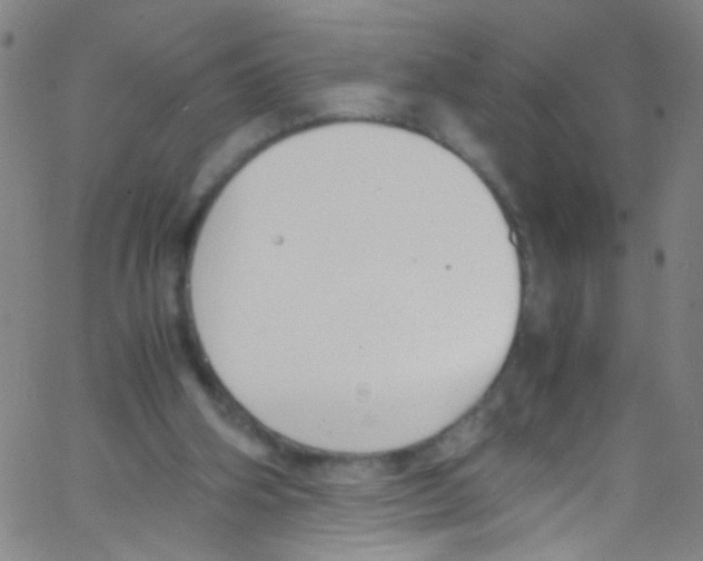 X0000067400106200604281918