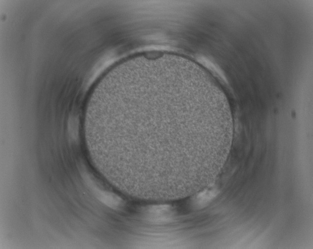 X0000067400108200604281918