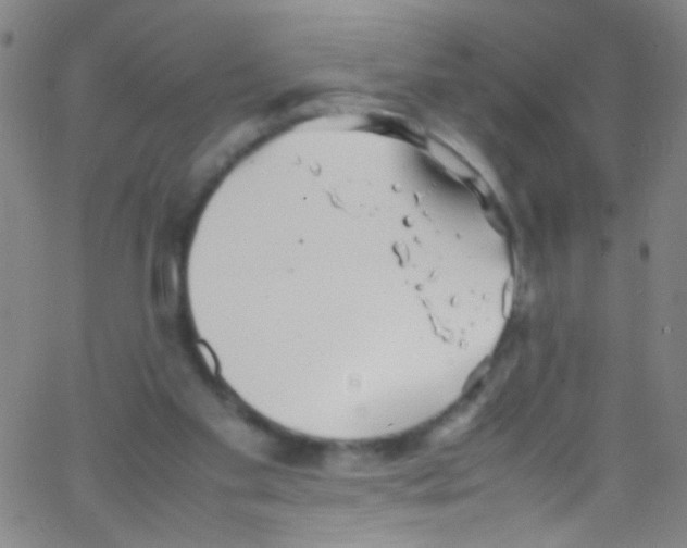 X0000067400109200604281918