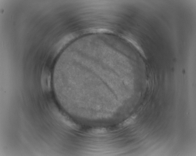 X0000067400110200604281918