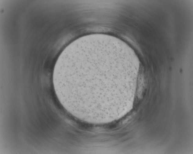 X0000067400111200604281918