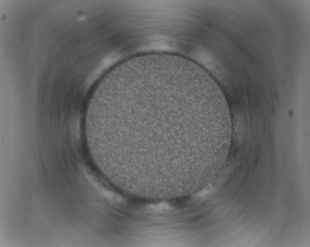 X0000067400112200604281918