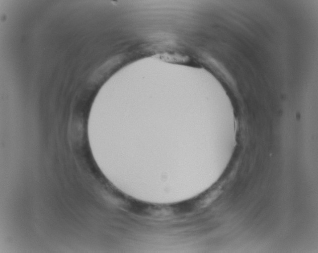 X0000067400113200604281918