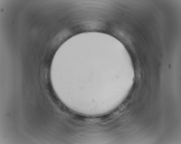 X0000067400115200604281917