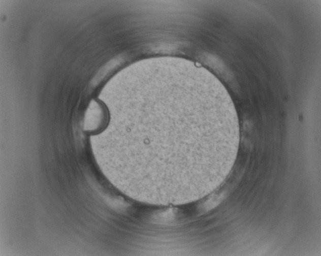 X0000067400116200604281917