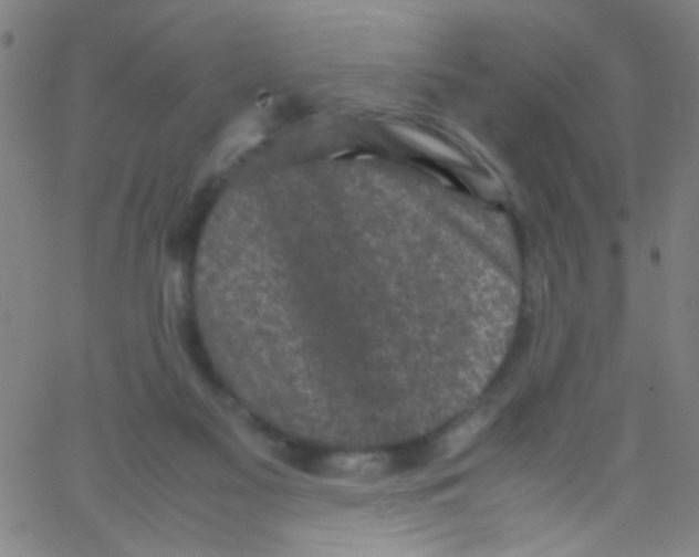 X0000067400117200604281917