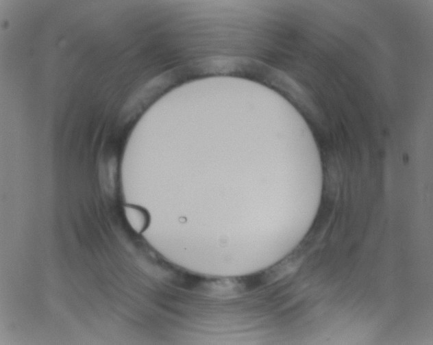 X0000067400118200604281917