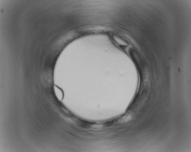 X0000067400119200604281917