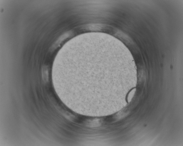 X0000067400120200604281917