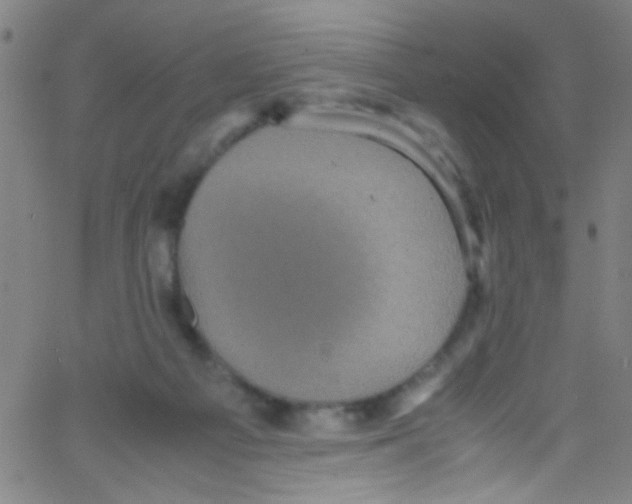 X0000067400121200604281917