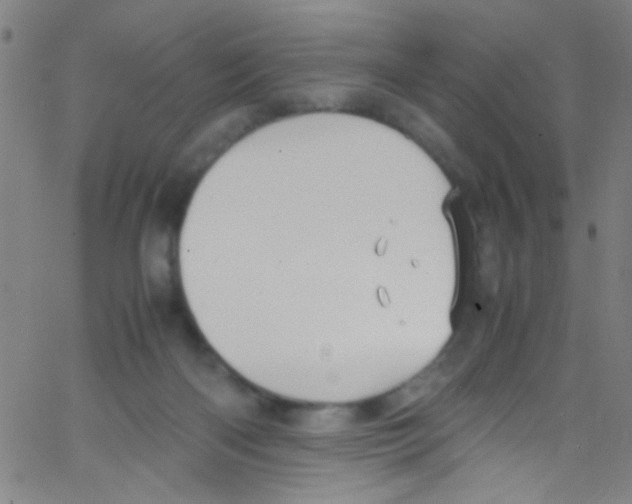 X0000067400122200604281917