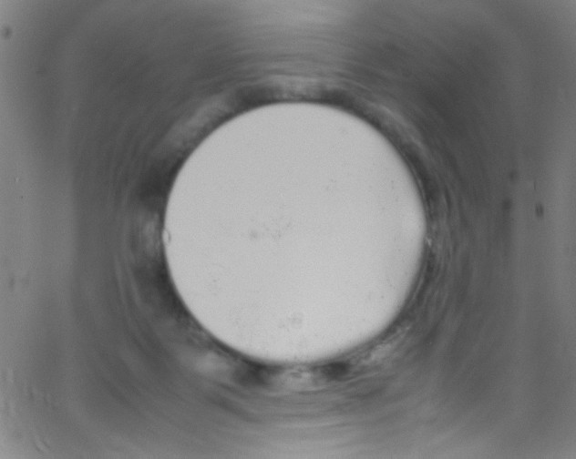 X0000067400123200604281917