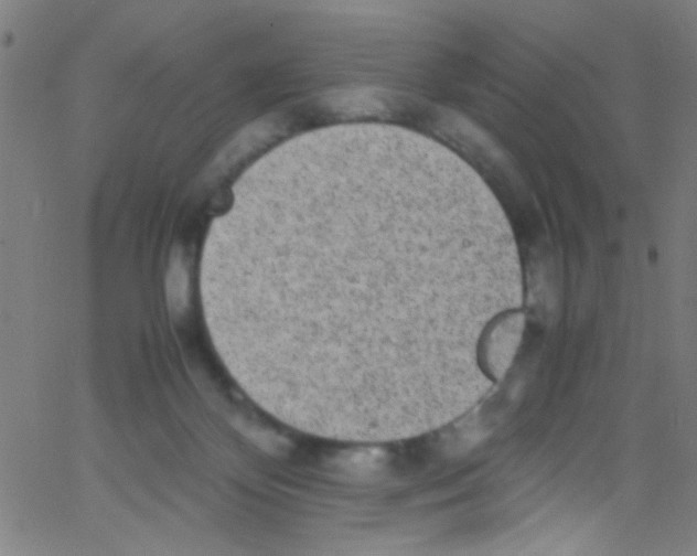 X0000067400124200604281917