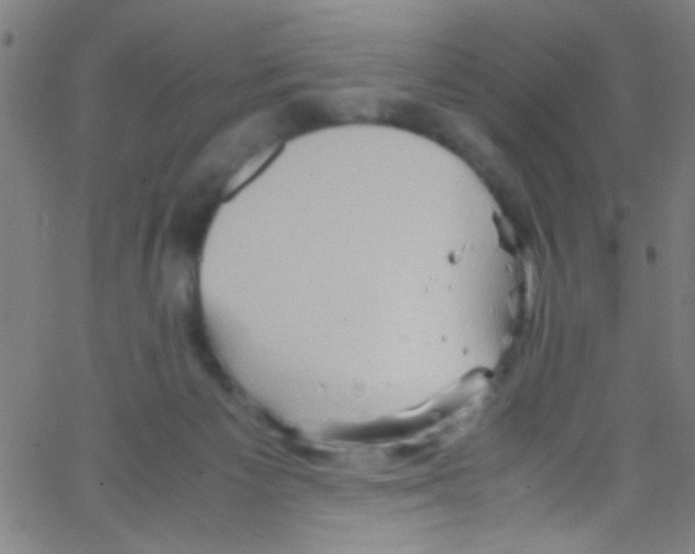 X0000067400125200604281917