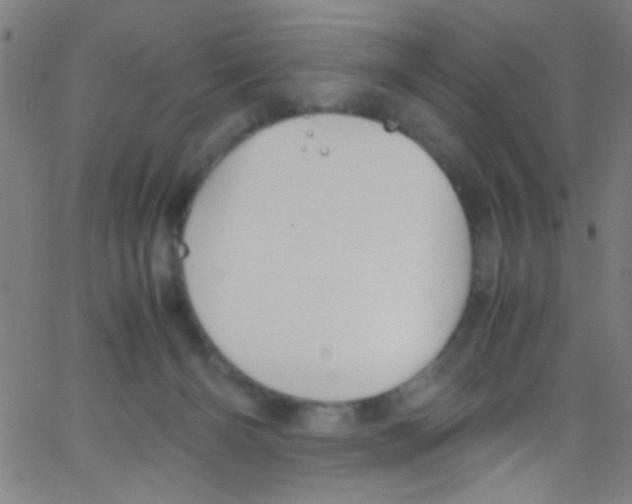 X0000067400126200604281917