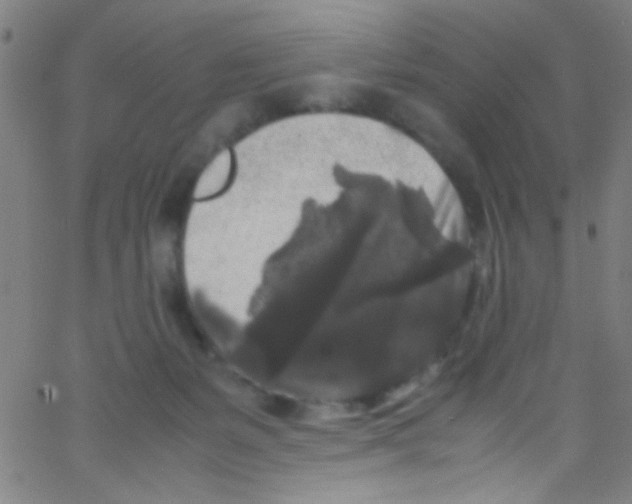 X0000067400127200604281917