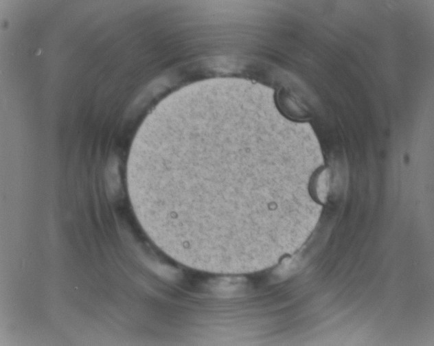 X0000067400128200604281917