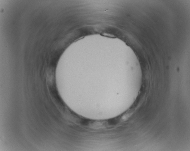 X0000067400129200604281917