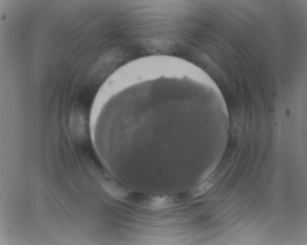 X0000067400130200604281917