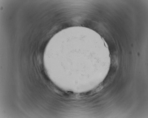 X0000067400131200604281917