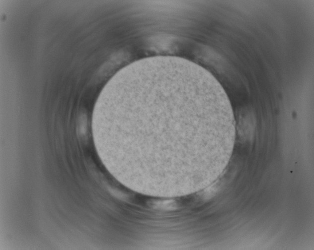 X0000067400132200604281917