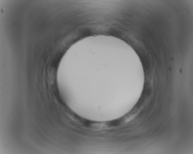 X0000067400133200604281917