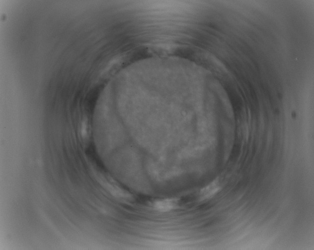 X0000067400134200604281917