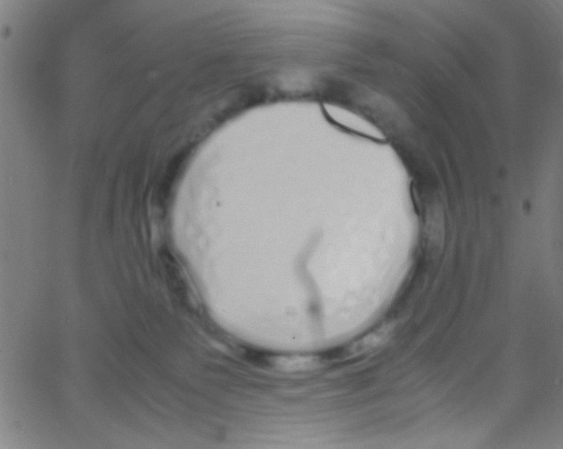 X0000067400135200604281917