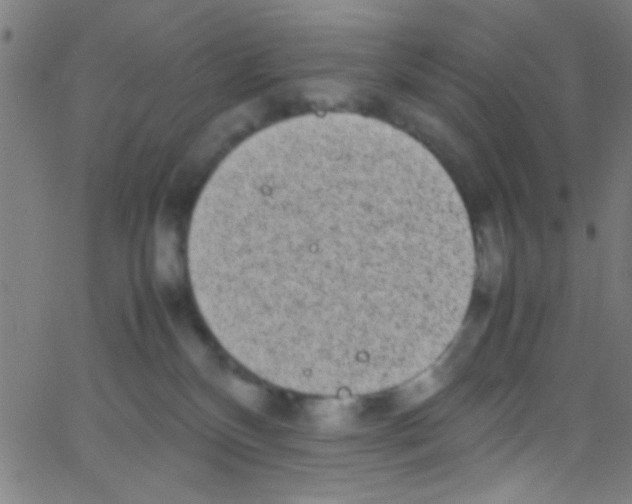 X0000067400136200604281917