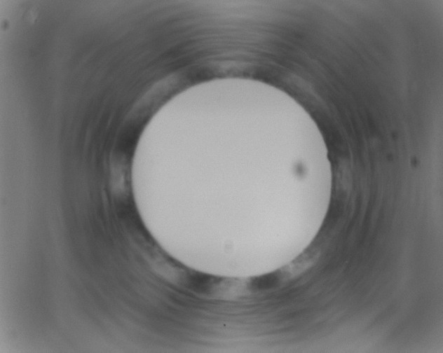 X0000067400138200604281917