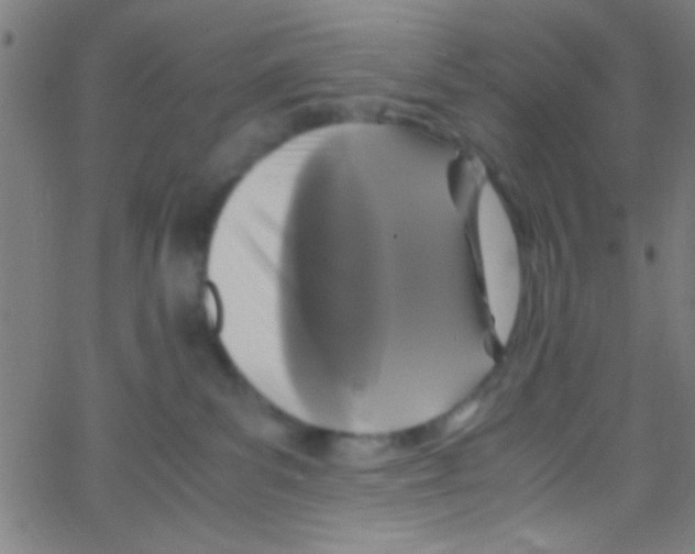 X0000067400139200604281917