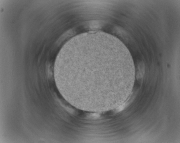 X0000067400140200604281917