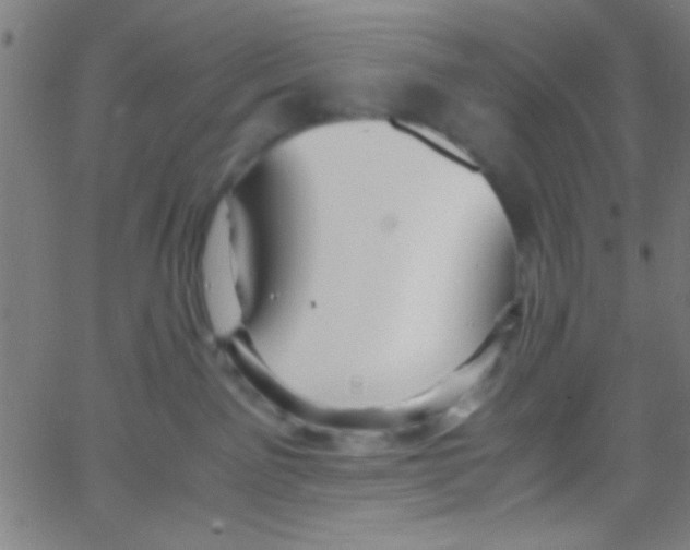 X0000067400141200604281917