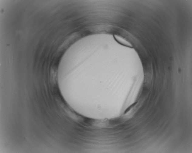 X0000067400142200604281917