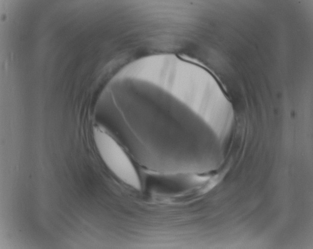 X0000067400143200604281917