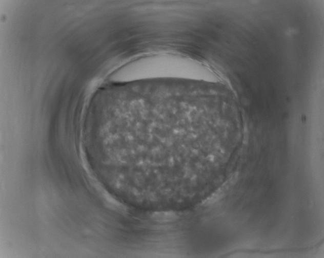 X0000067400145200604281916