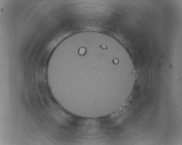 X0000067400146200604281916