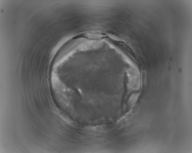 X0000067400147200604281916