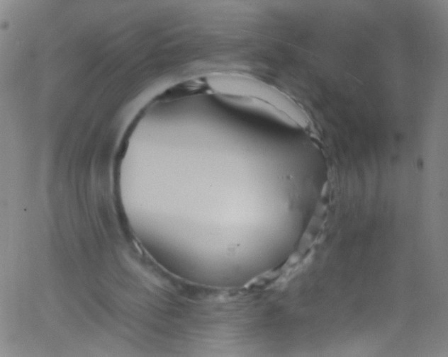 X0000067400148200604281916