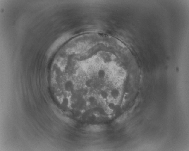 X0000067400149200604281916