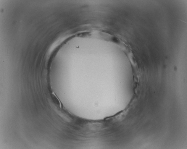 X0000067400150200604281916