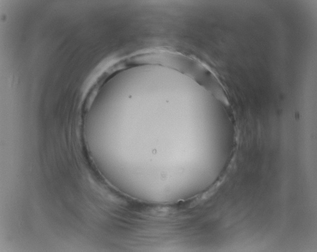 X0000067400152200604281916