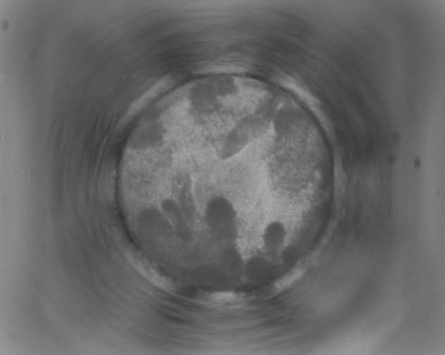 X0000067400153200604281916