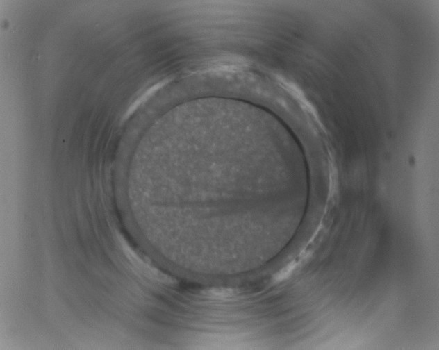 X0000067400154200604281916