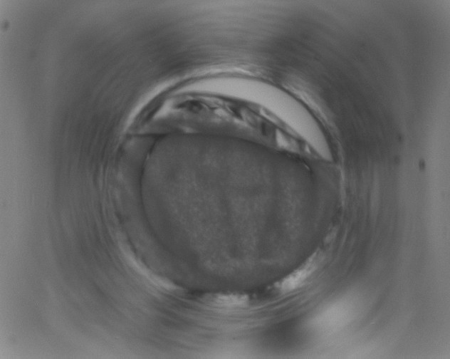 X0000067400156200604281916